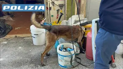 L'operazione con il cane antidroga